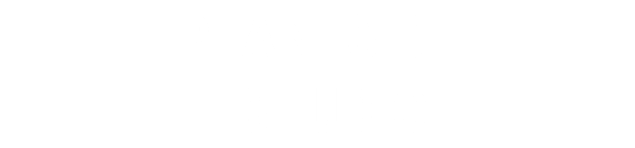 PLANES DE ESTUDIO